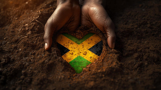 After the Storm: Helping Jamaica Heal After Hurricane Melissa