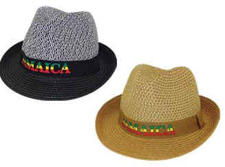 D2461 HAT