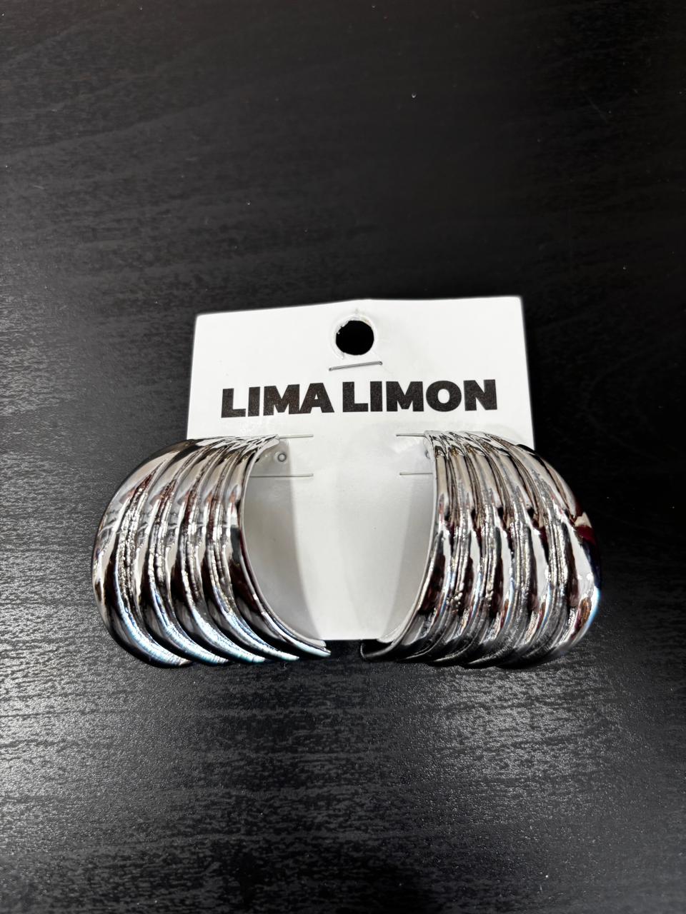 Silver Earring 5